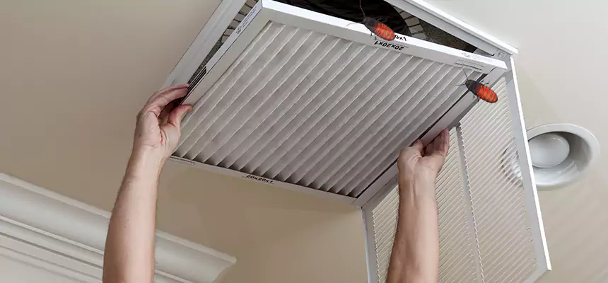 Preventive Cockroach-Proofing for Ducts in Norco