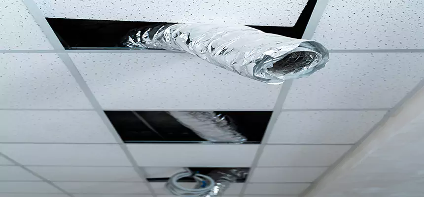 Affordable HVAC Sanitizing After Pest Removal in Norco