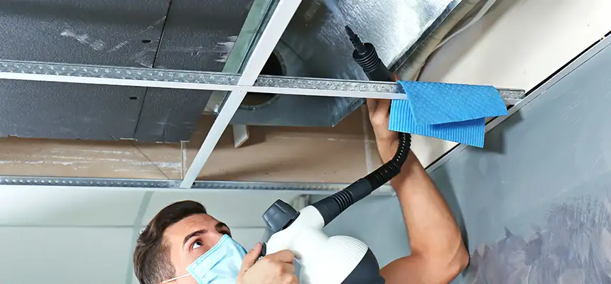 Our Air Duct Rodent Removal Services in Norco, CA