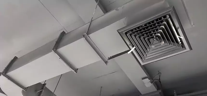 Restorative Allergy Relief Vent Cleaning – Coil, Blower & Housing Detail in Norco