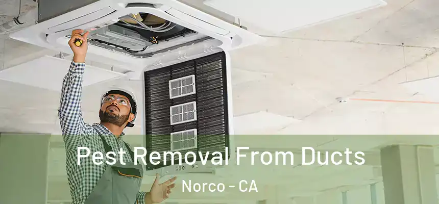  Pest Removal From Ducts Norco - CA