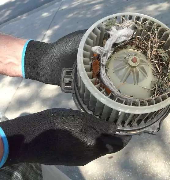 About Air Duct Rat Removal in Norco, CA