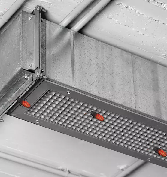 Affordable Insect Removal from Air Ducts in Norco, CA