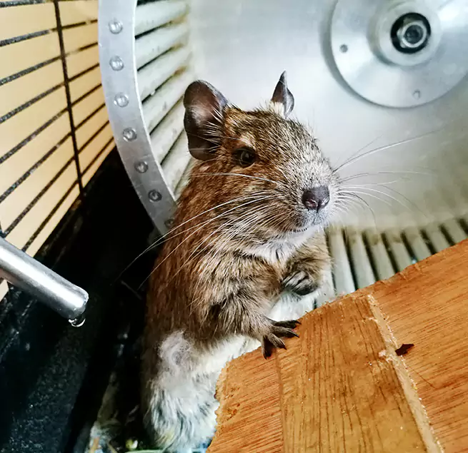 Why Homeowners & Businesses Trust Us Norco, CA?