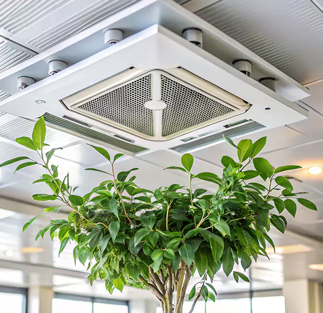 Why Homeowners & Businesses Trust Us in Norco, CA?